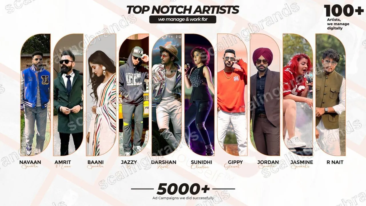 Artists and singers under digital management