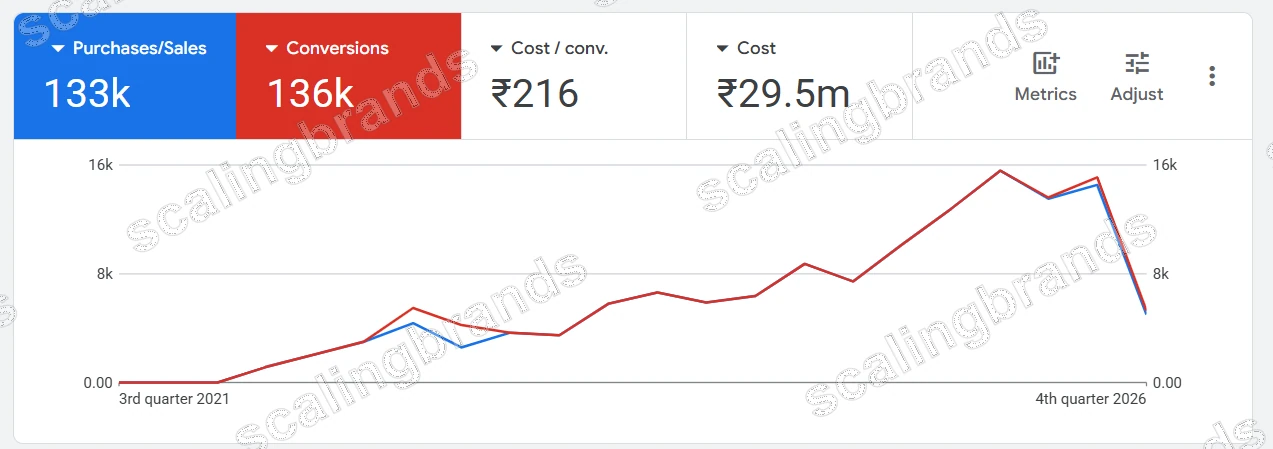 Google Ads account overview: 133K purchases, 136K conversions, ₹216 cost per conversion, ₹29.5M cost