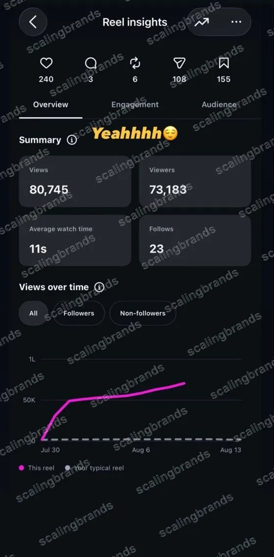 Instagram Reel insights: 80,745 views for a real estate Reel